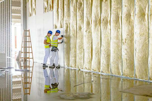 Best Commercial Insulation in Belmont, PA